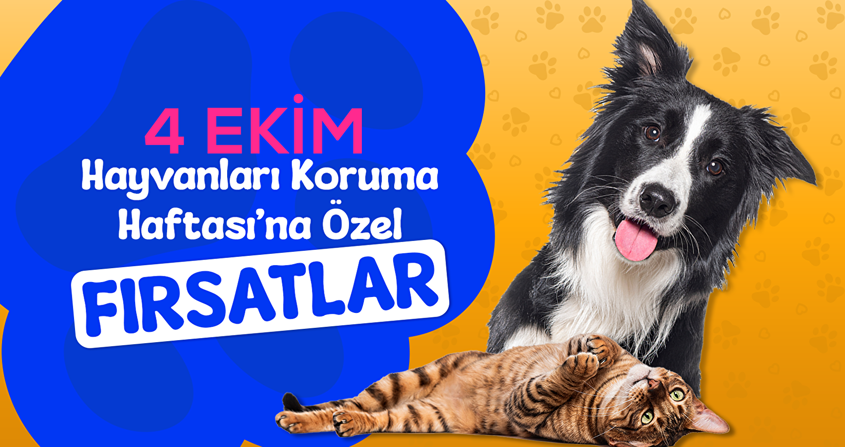 Hayvanları Koruma Günü Fırsatları