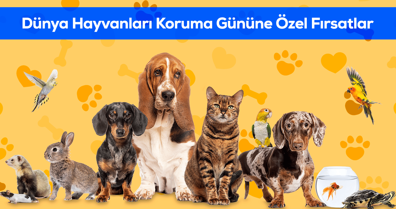 Hayvanları Koruma Günü