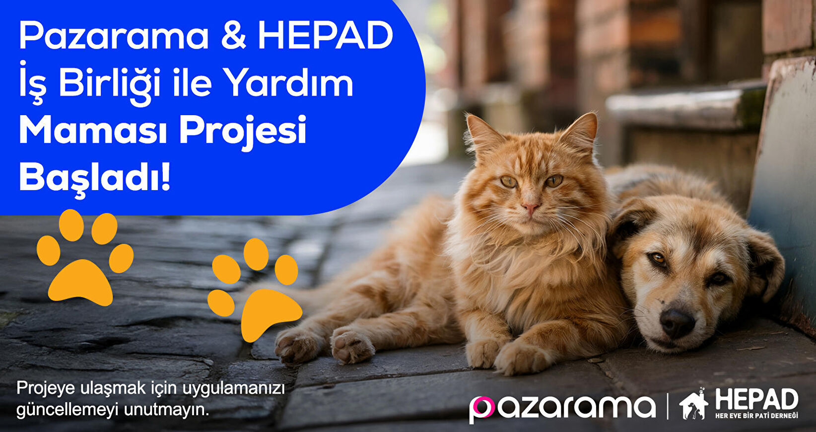 Hepad