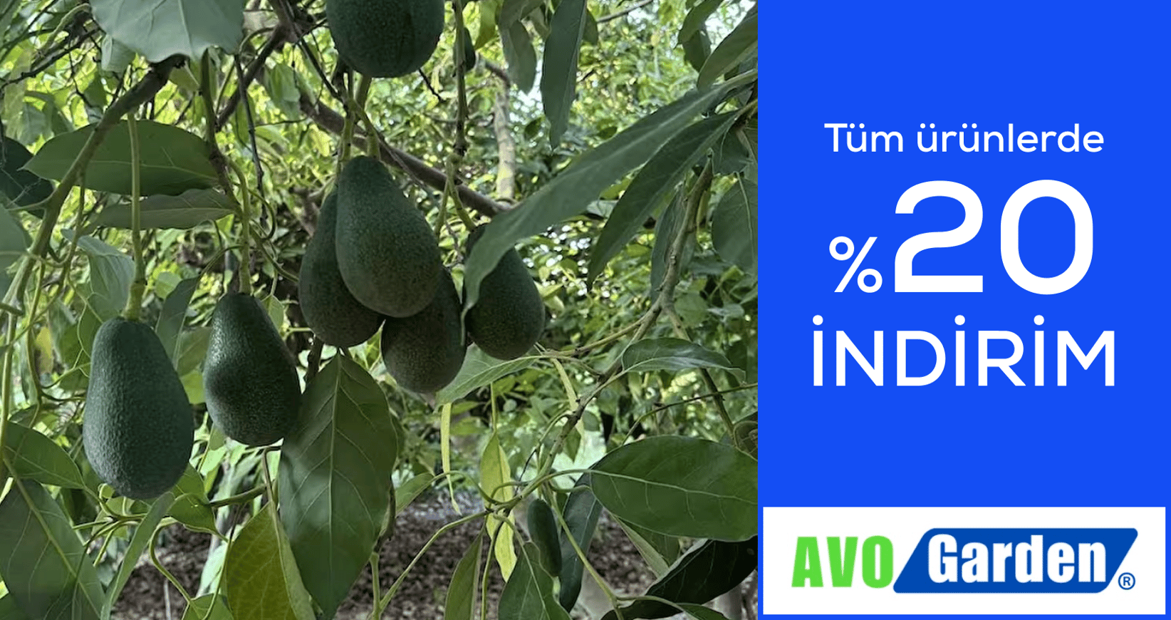Avogarden %20 İndirim