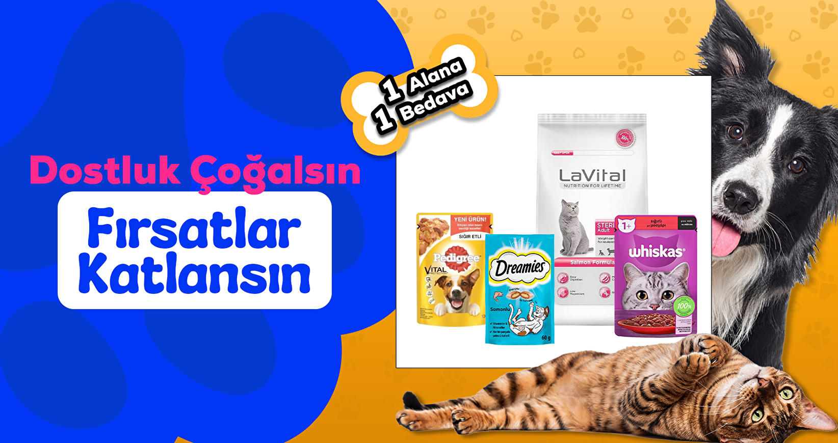 Dostluk Çoğalsın, Fırsatlar Katlansın