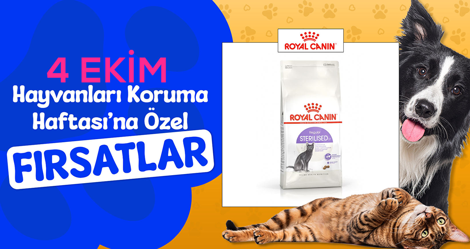 Royal Canin'de  4 Ekim Fırsatı 
