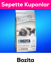 Bozita