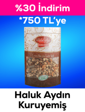 Haluk Aydın