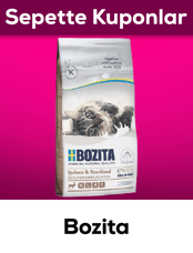 Bozita