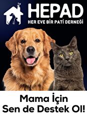 Mama İçin Destek Ol