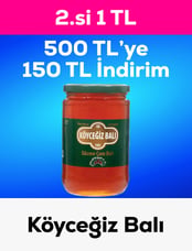 Köyceğiz Balı