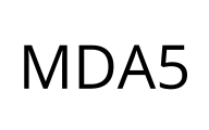 MDA5