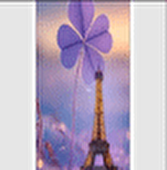 Bloom Elegante Paris