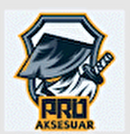 Pro Aksesuar