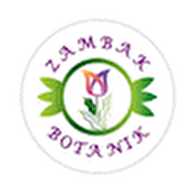 Zambak Botanik