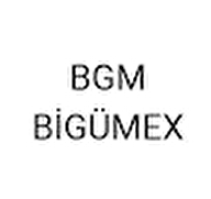 BGMBİGÜMEX