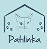 Patilinka
