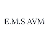 E.M.S AVM