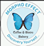 Morpho Effect Group
