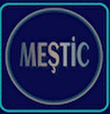 MESTİC