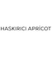 HASKIRICI APRİCOT