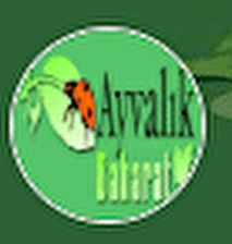 Ayvalık Baharat