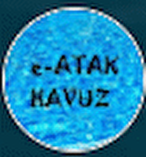 e-atakhavuz