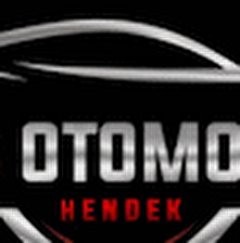 MS OTOMOTİV HENDEK