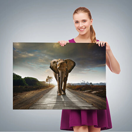 Fil Dekoratif Kanvas Tablo 1118