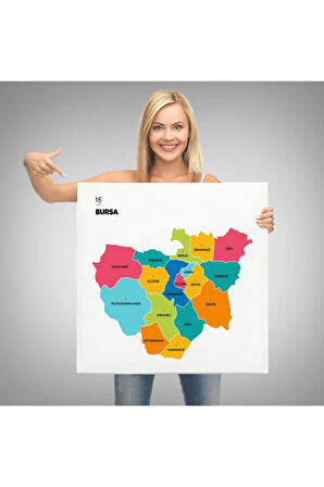 Bursa  İli Ve İlçeler Haritası  Dekoratif Kanvas Tablo 1306