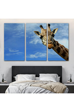 Zürafa Dekoratif Kanvas Tablo 1116