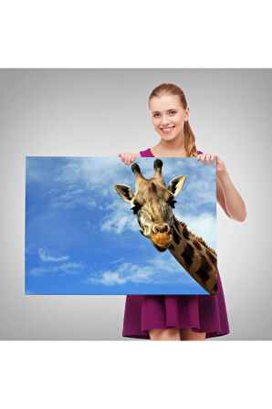 Zürafa Dekoratif Kanvas Tablo 1116