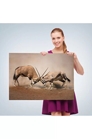 Antilob Dekoratif Kanvas Tablo-1117