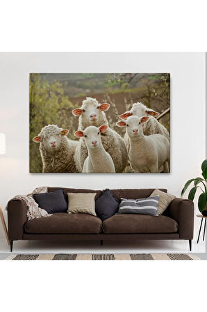 Koyun Kuzu Dekoratif Kanvas Tablo 1119