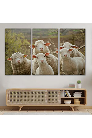 Koyun Kuzu Dekoratif Kanvas Tablo 1119