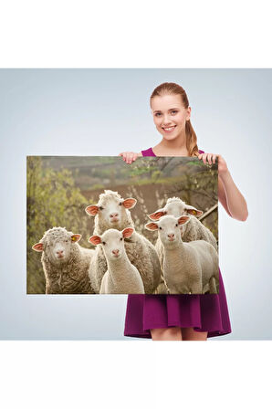 Koyun Kuzu Dekoratif Kanvas Tablo 1119