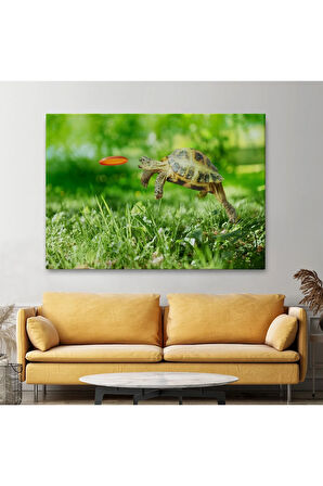 Uçan Kaplunbağa Dekoratif Kanvas Tablo 1122