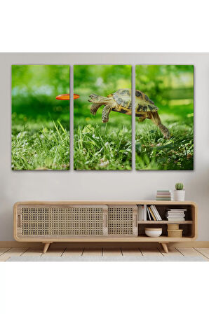 Uçan Kaplunbağa Dekoratif Kanvas Tablo 1122
