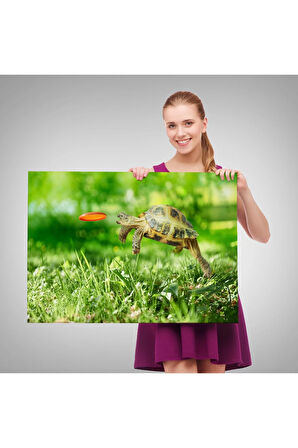 Uçan Kaplunbağa Dekoratif Kanvas Tablo 1122