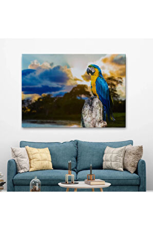 Papağan Dekoratif Kanvas Tablo 1123