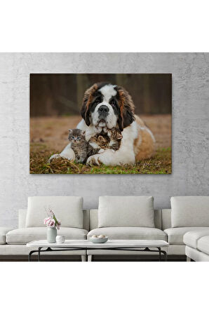 St. Bernard  Köpek Ve Yavru Kediler Dekoratif Kanvas Tablo 1124
