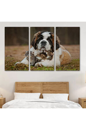 St. Bernard  Köpek Ve Yavru Kediler Dekoratif Kanvas Tablo 1124