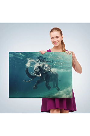 Yüzen Fil Dekoratif Kanvas Tablo 1128
