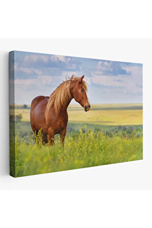 At Ve Manzaralı  Dekoratif Kanvas Tablo 1131