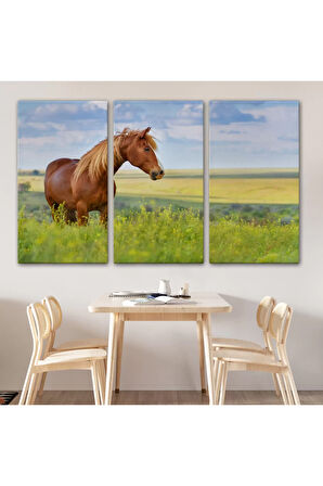 At Ve Manzaralı  Dekoratif Kanvas Tablo 1131