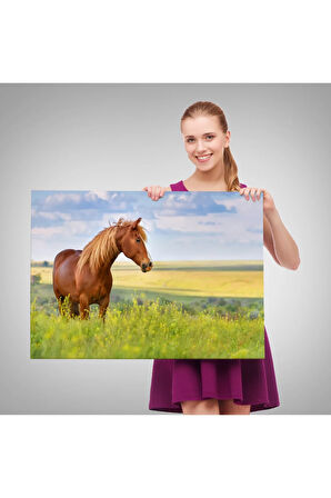 At Ve Manzaralı  Dekoratif Kanvas Tablo 1131