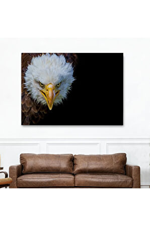 Kartal  Dekoratif Kanvas Tablo 1132