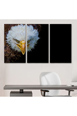 Kartal  Dekoratif Kanvas Tablo 1132