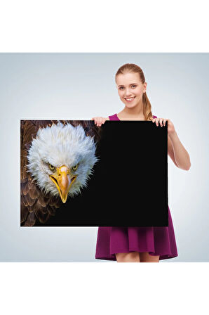 Kartal  Dekoratif Kanvas Tablo 1132