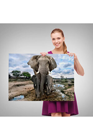 Fil Ve Yavruları Dekoratif Kanvas Tablo 1134