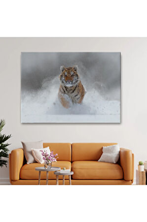 Karda Koşan Yavru Kaplan Dekoratif Kanvas Tablo 1135