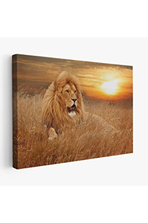 Erkek Aslan Dekoratif Kanvas Tablo 1138