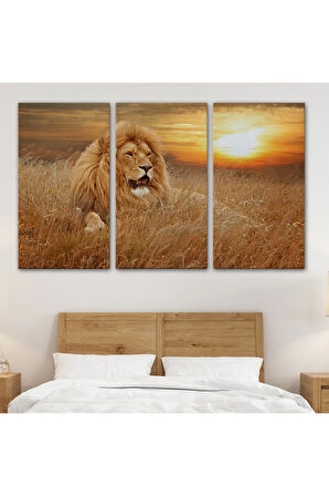 Erkek Aslan Dekoratif Kanvas Tablo 1138