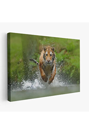 Koşan Kaplan Dekoratif Kanvas Tablo 1142